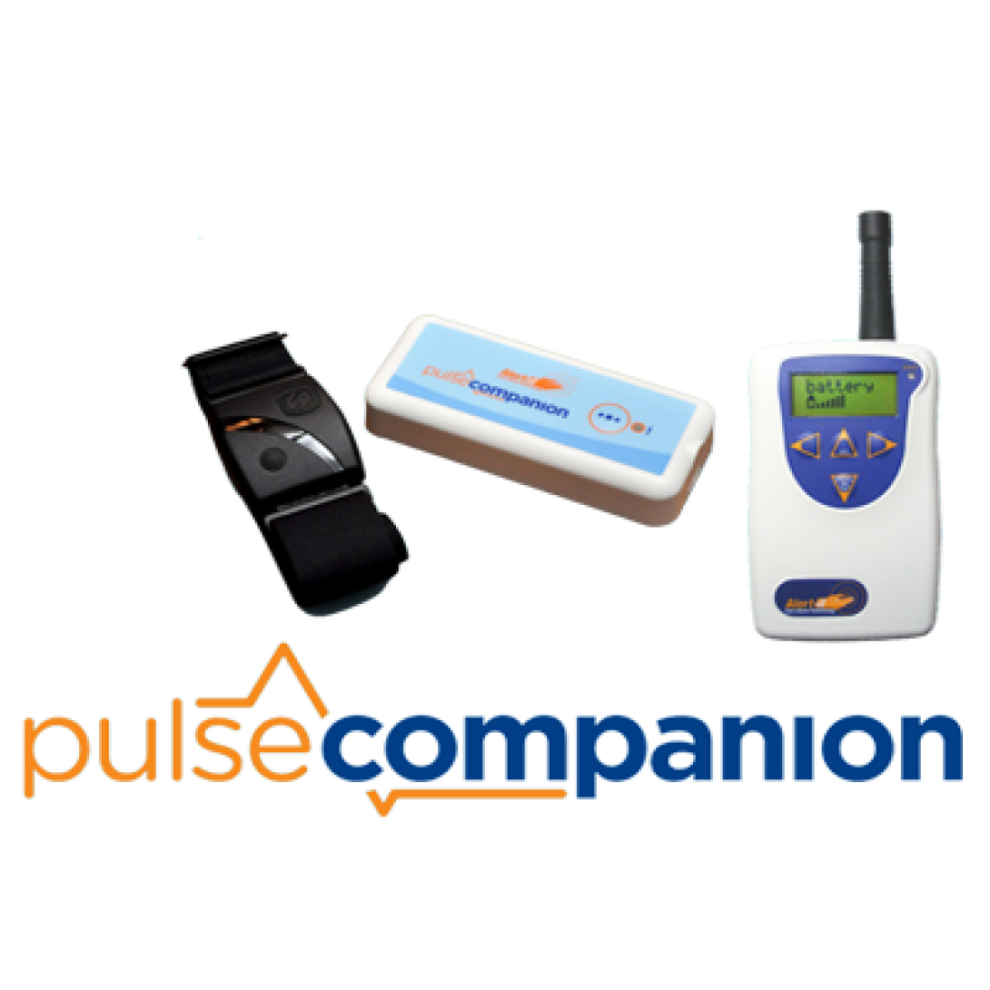 Pulse Companion